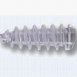 Bioabsorbable Screw2.jpg